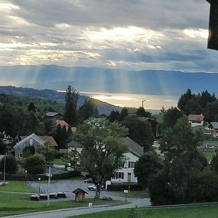 Balcony Of Lake Geneva Thollon-les-Memises Exterior foto